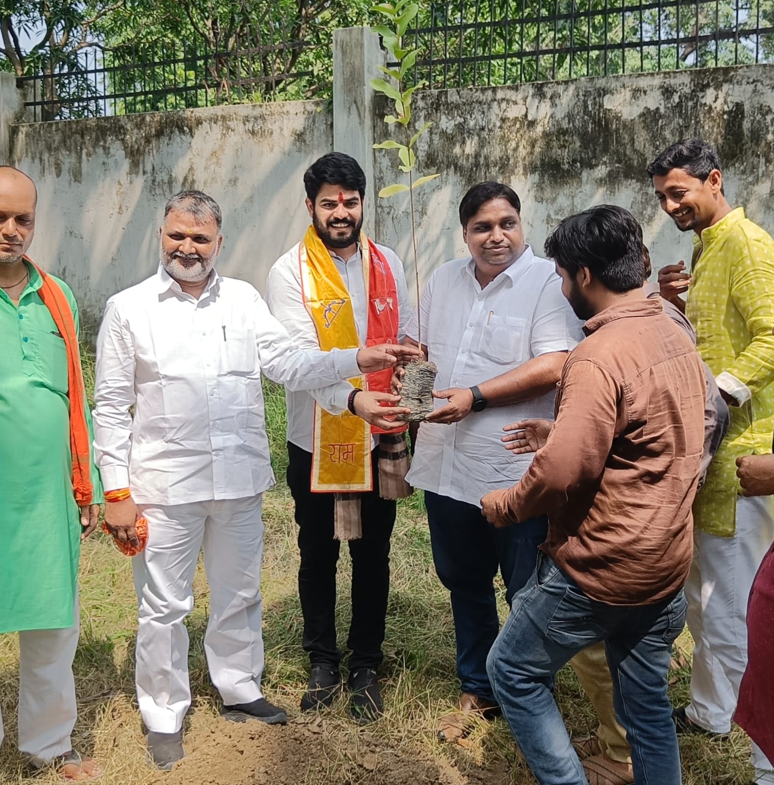 Sapling plantation at school