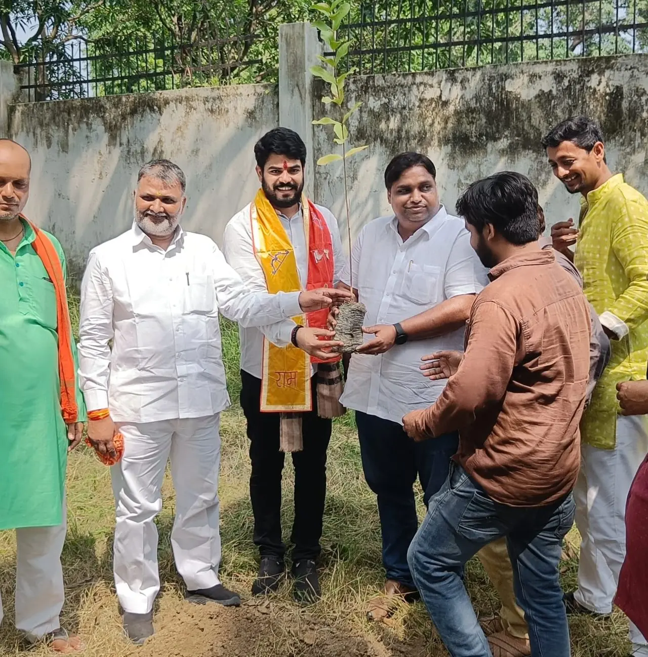 Sapling plantation at school